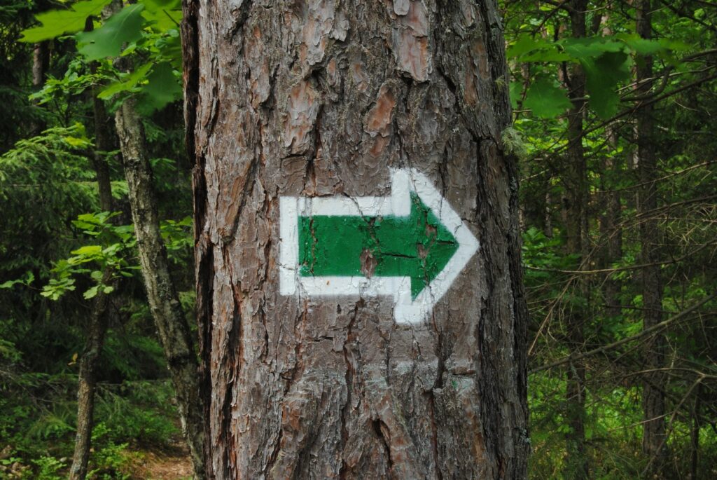 SEO Copywriting: podchody w wyszukiwarce